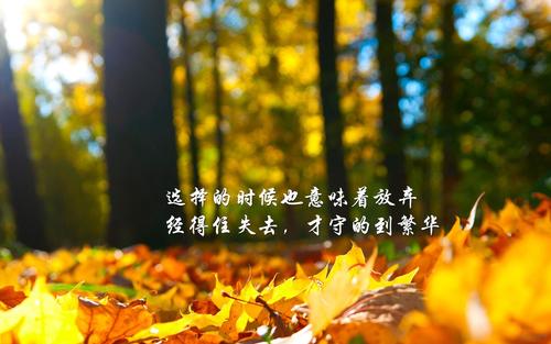 業(yè)務(wù)流程規(guī)范管理制度