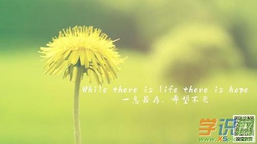 配送的司機(jī)崗位職責(zé)